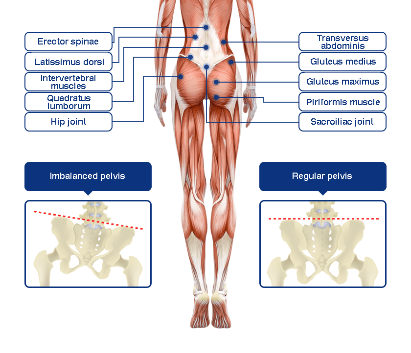 Treatment locations for low back pain-specific rehabilitation