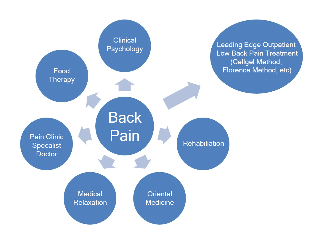ILC International Back Pain Clinic and OJ Wellness Center program diagram