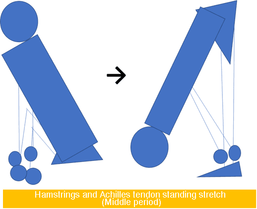 stretching intermediate illustration